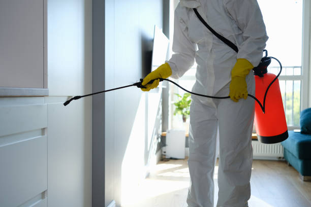 Best Office Mold Removal Services  in Lochmoor Waterway Estates, FL