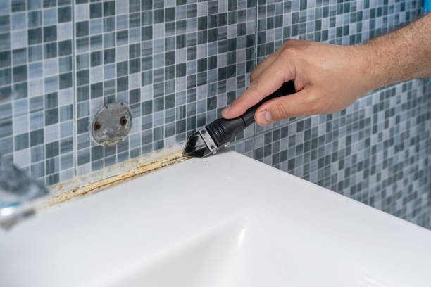 Best Mold Removal Near Me  in Lochmoor Waterway Estates, FL