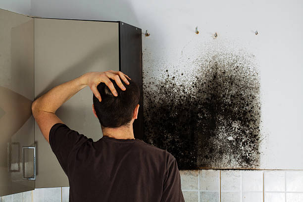 Water Damage Restoration in Lochmoor Waterway Estates, FL